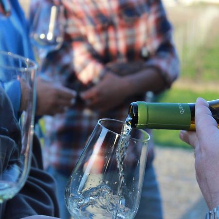 Quinta Pousada De Fora Wines & Tourism Guimarães Eksteriør billede