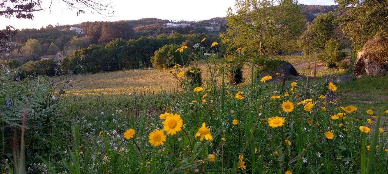 Quinta Pousada De Fora Wines & Tourism Guimarães Eksteriør billede