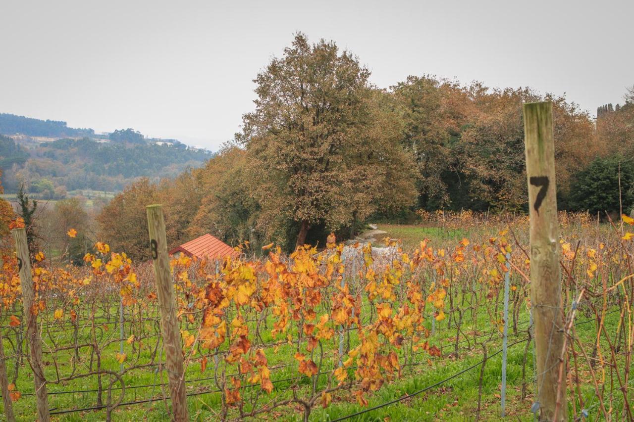 Quinta Pousada De Fora Wines & Tourism Guimarães Eksteriør billede