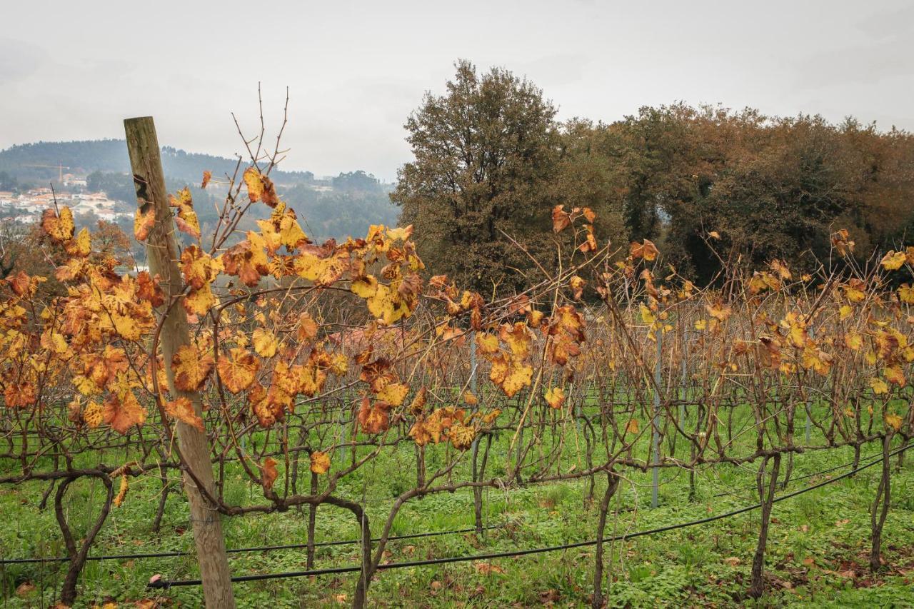 Quinta Pousada De Fora Wines & Tourism Guimarães Eksteriør billede