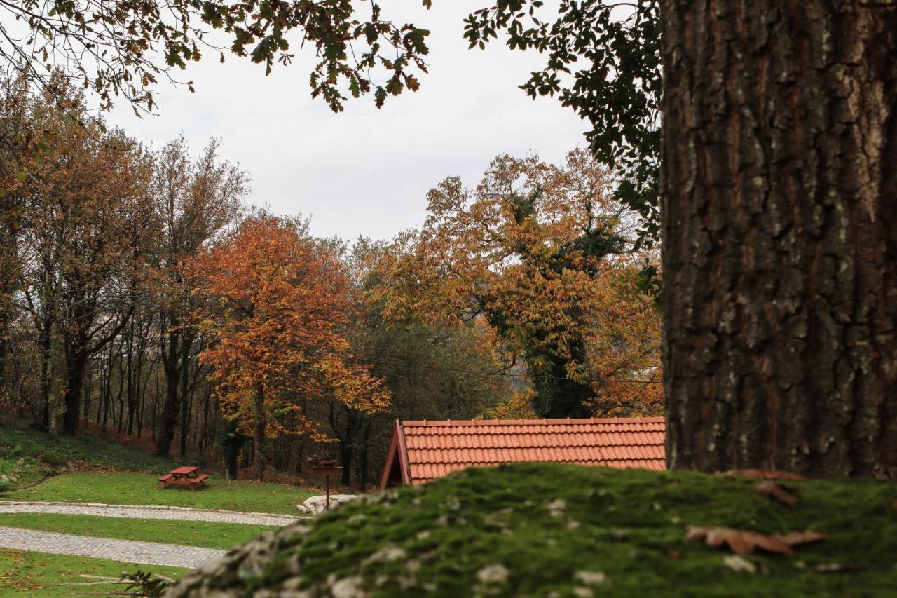 Quinta Pousada De Fora Wines & Tourism Guimarães Eksteriør billede