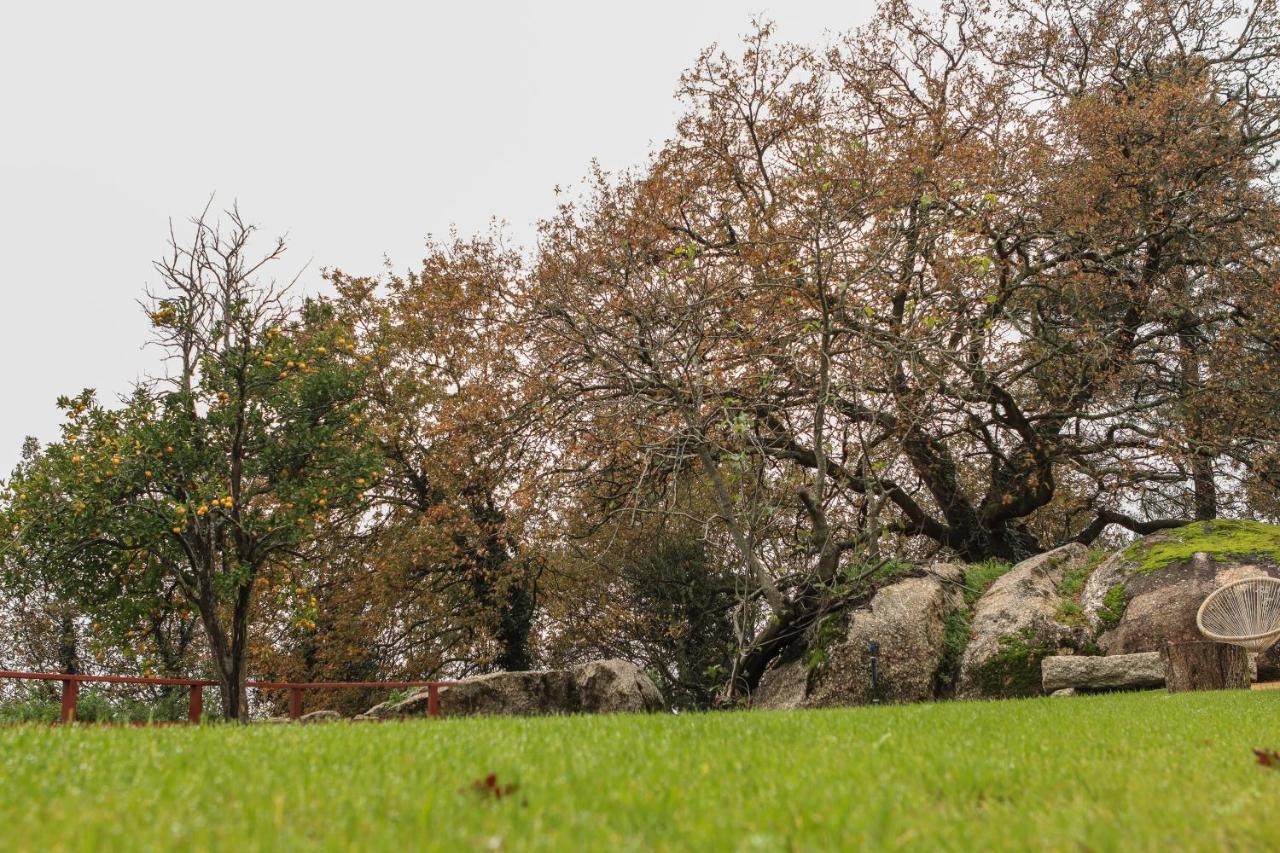 Quinta Pousada De Fora Wines & Tourism Guimarães Eksteriør billede