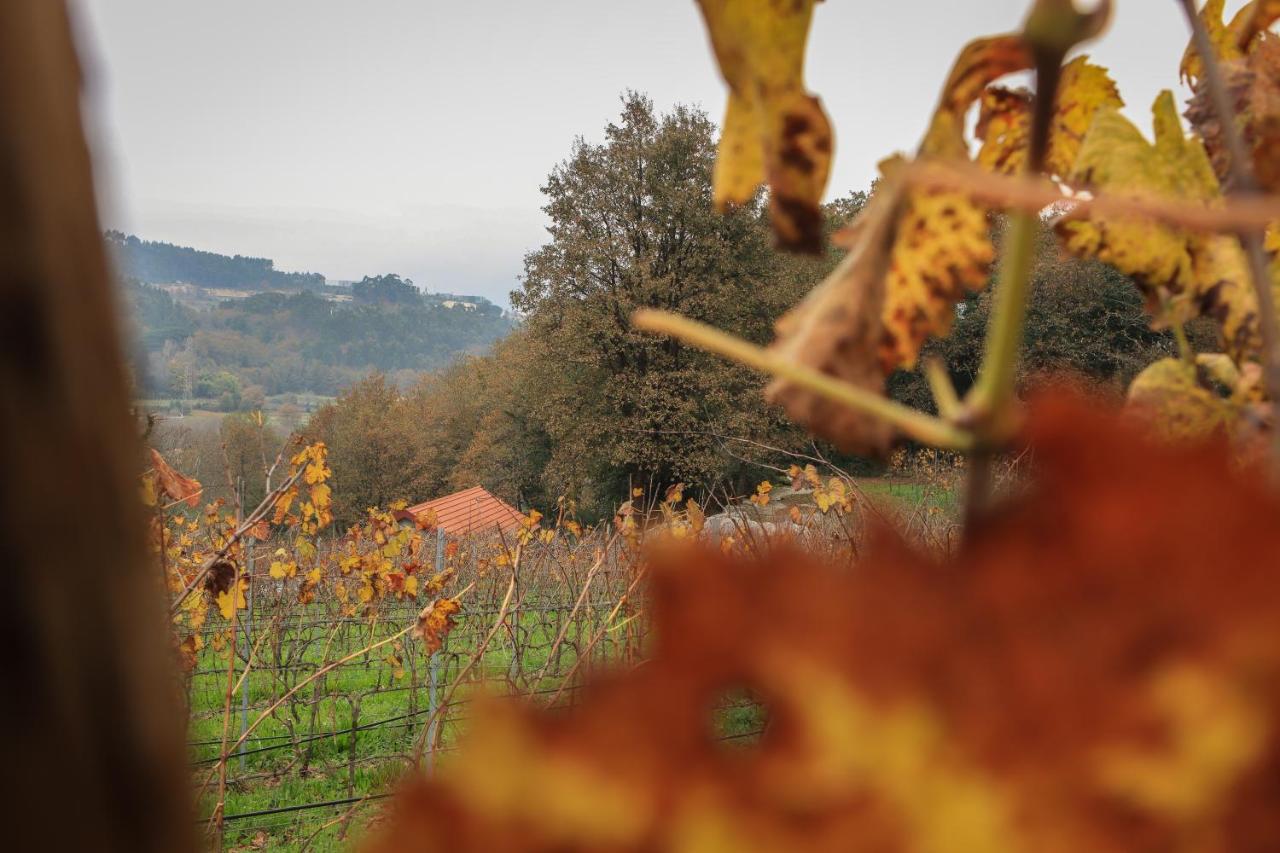 Quinta Pousada De Fora Wines & Tourism Guimarães Eksteriør billede