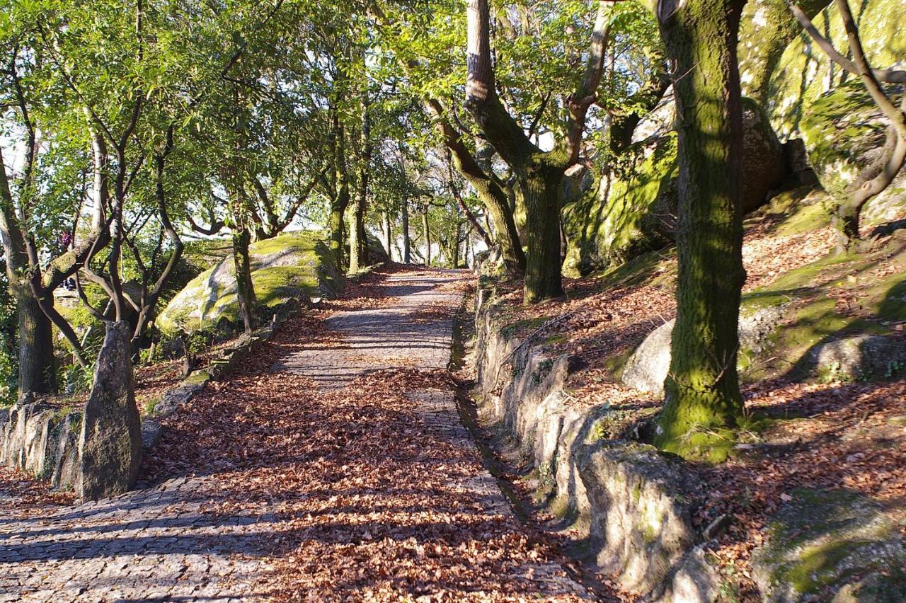 Quinta Pousada De Fora Wines & Tourism Guimarães Eksteriør billede
