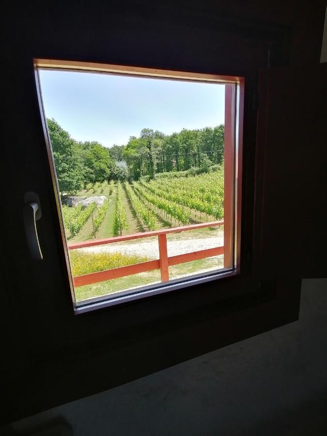 Quinta Pousada De Fora Wines & Tourism Guimarães Eksteriør billede