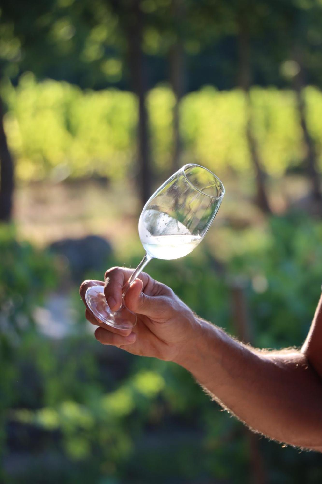 Quinta Pousada De Fora Wines & Tourism Guimarães Eksteriør billede
