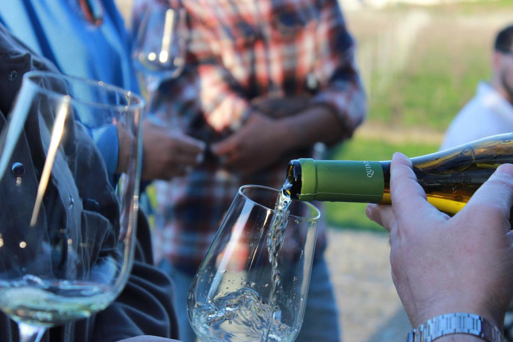 Quinta Pousada De Fora Wines & Tourism Guimarães Eksteriør billede